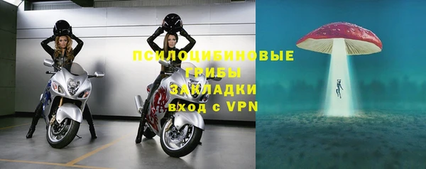 кокс Алексин