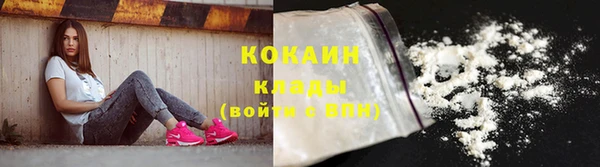 кокс Алексин