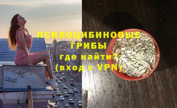 круглые Алзамай