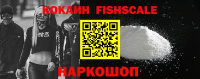 jwh Камышлов
