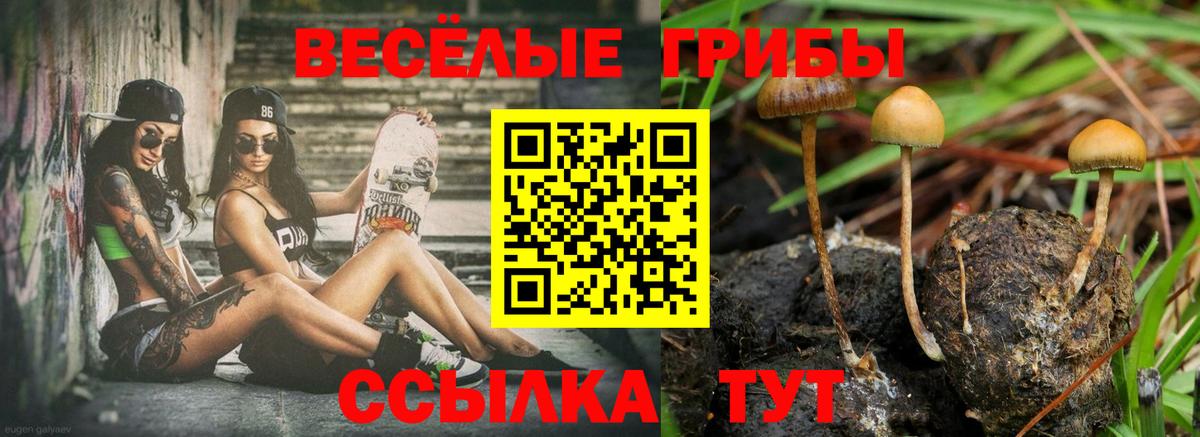 Псилоцибиновые грибы GOLDEN TEACHER  Вход с VPN  Магадан 